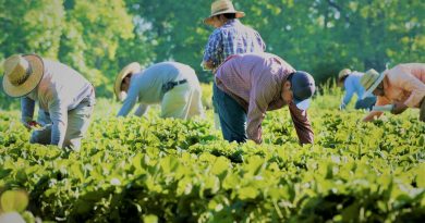 Farm Worker Jobs In Canada