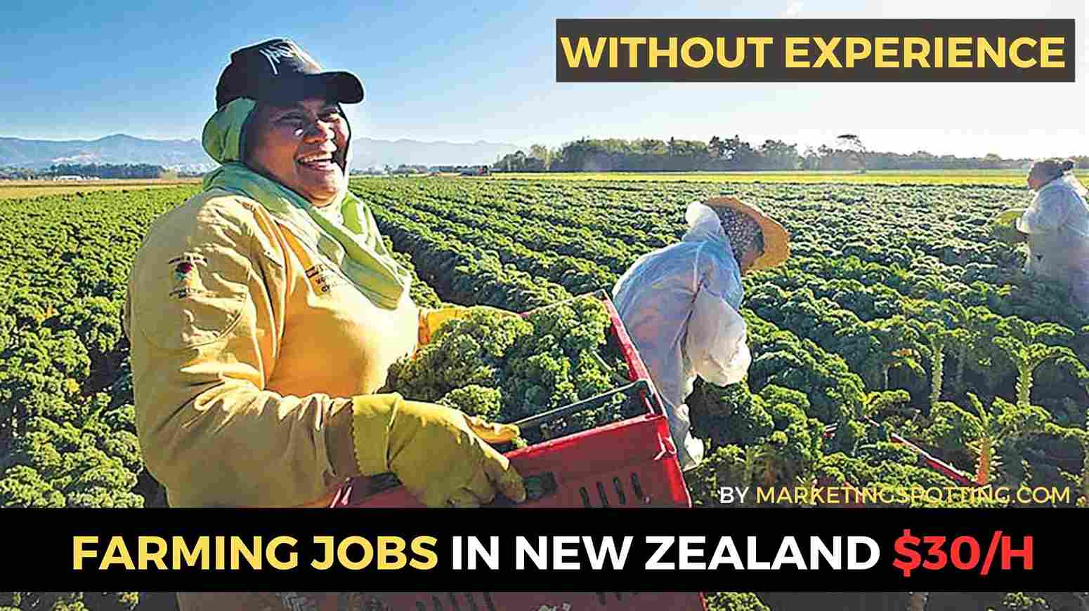 Farm working and processing works in New Zealand