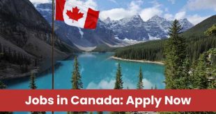 Jobs in Canada Exciting Opportunities Are Open