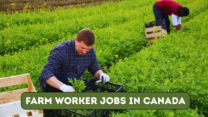 Farm Worker Jobs in Canada