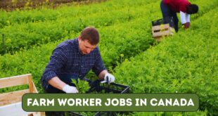 Farm Worker Jobs in Canada