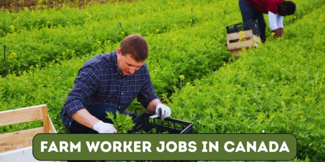 Farm Worker Jobs in Canada