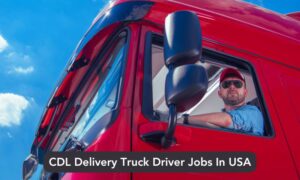 CDL Delivery Truck Driver Jobs In USA