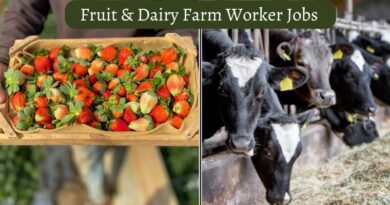 Fruit & Dairy Farm Worker Jobs In Canada 2025